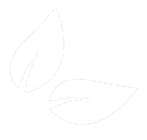 Untitled design(9)